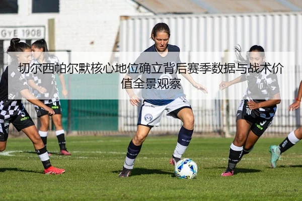 切尔西帕尔默核心地位确立背后赛季数据与战术价值全景观察