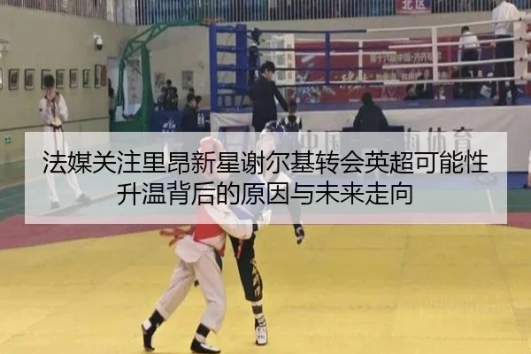 法媒关注里昂新星谢尔基转会英超可能性升温背后的原因与未来走向